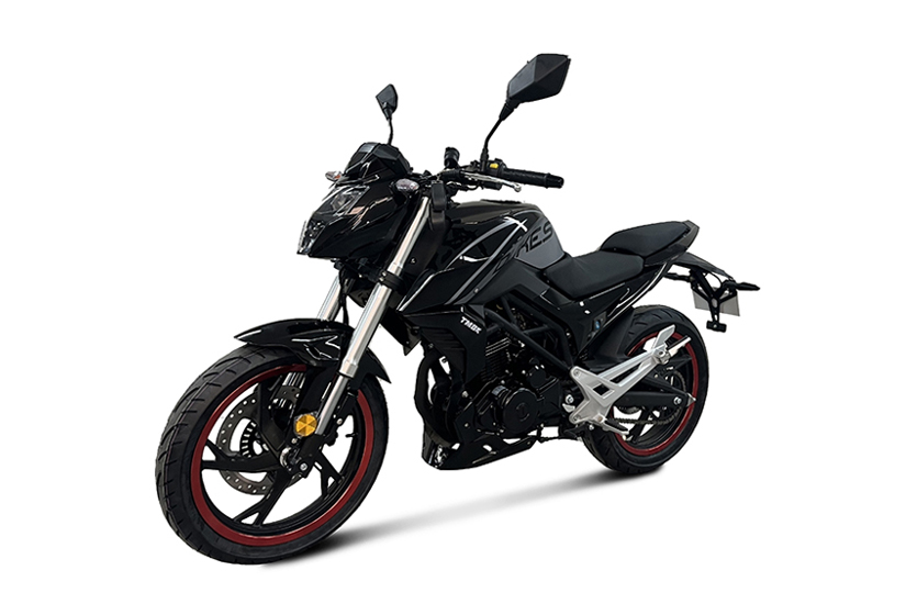 Мотоцикл дорожный TMBK Dukes 200cc